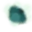 Jesse Shaw portfolio logo